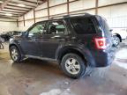 FORD ESCAPE XLT photo