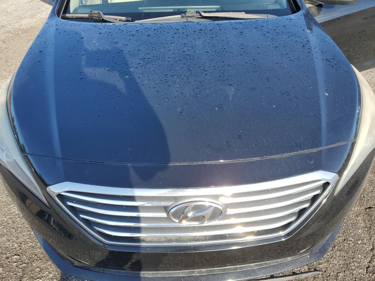 2015 Hyundai Sonata Se vin: 5NPE24AF5FH120995