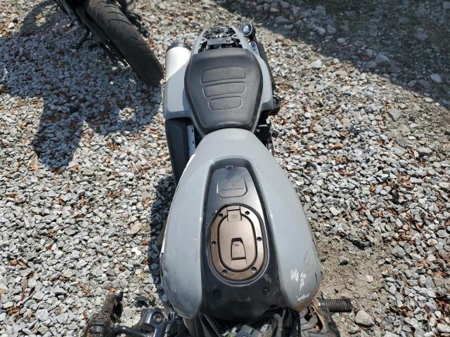 2024 HARLEY-DAVIDSON RH1250 S - 1HD1ZC416RB300656