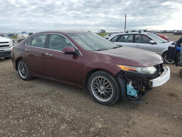 2009 Acura Tsx VIN: JH4CU25609C800690 Lot: 62498684