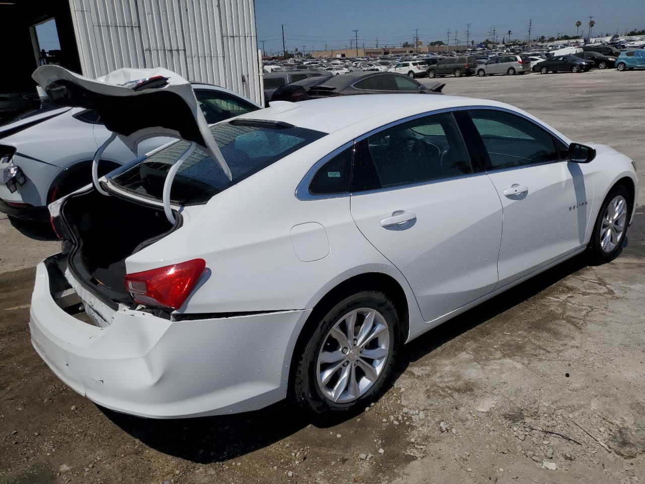 Lot #3037885264 2023 CHEVROLET MALIBU LT