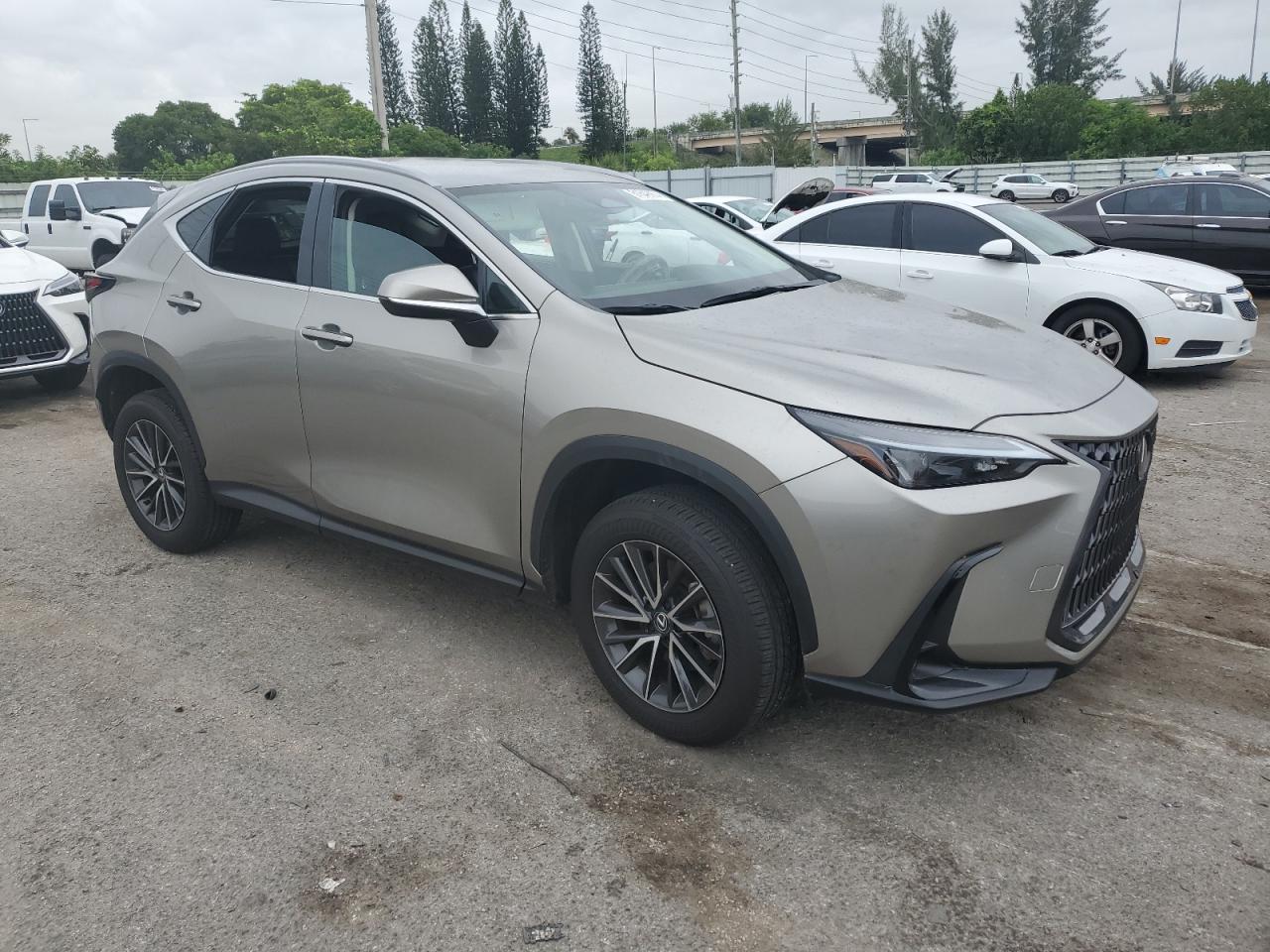 Lot #2991687055 2024 LEXUS NX 250 BAS