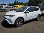 TOYOTA RAV4 XLE photo