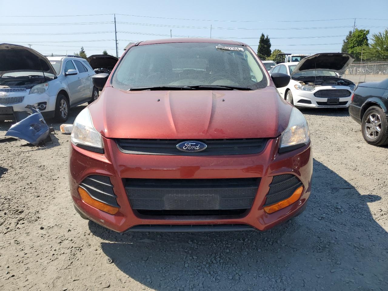 Lot #2716260615 2014 FORD ESCAPE S