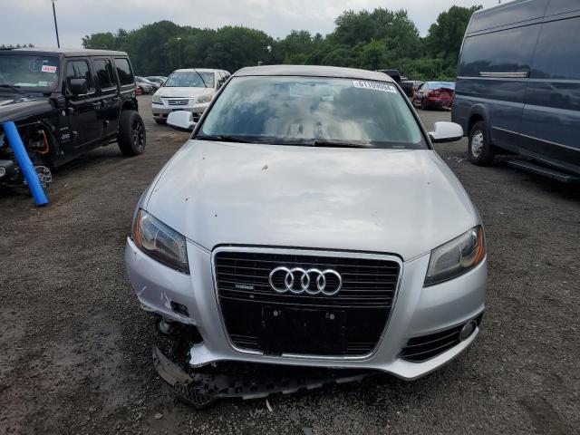 2013 Audi A3 Premium Plus VIN: WAUMFAFM6DA031850 Lot: 61109094