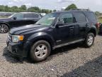 FORD ESCAPE XLT photo