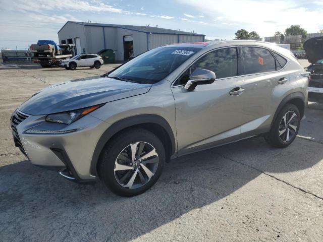 2019 LEXUS NX 300 BAS #3024817426