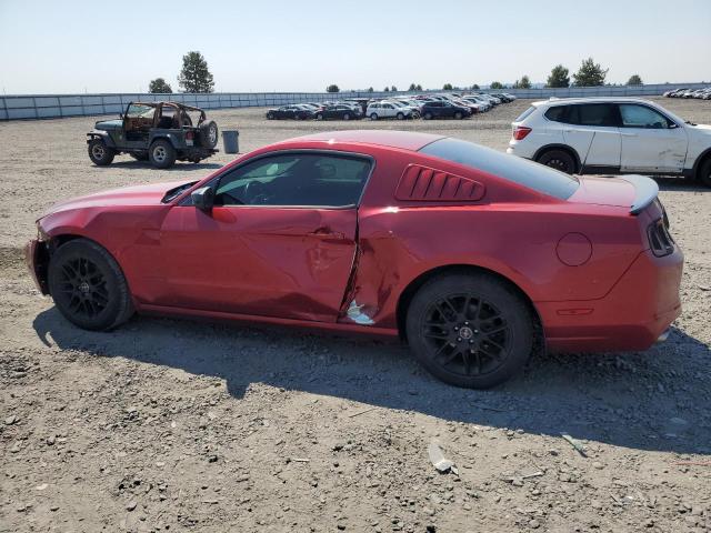 2014 Ford Mustang VIN: 1ZVBP8AM3E5271386 Lot: 62755474