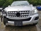 MERCEDES-BENZ ML 350 photo