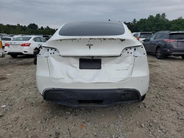 2023 TESLA MODEL Y - 7SAYGDEE0PF674576