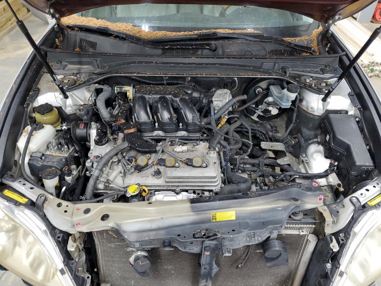 JTHBJ46G682236510 2008 Lexus Es 350