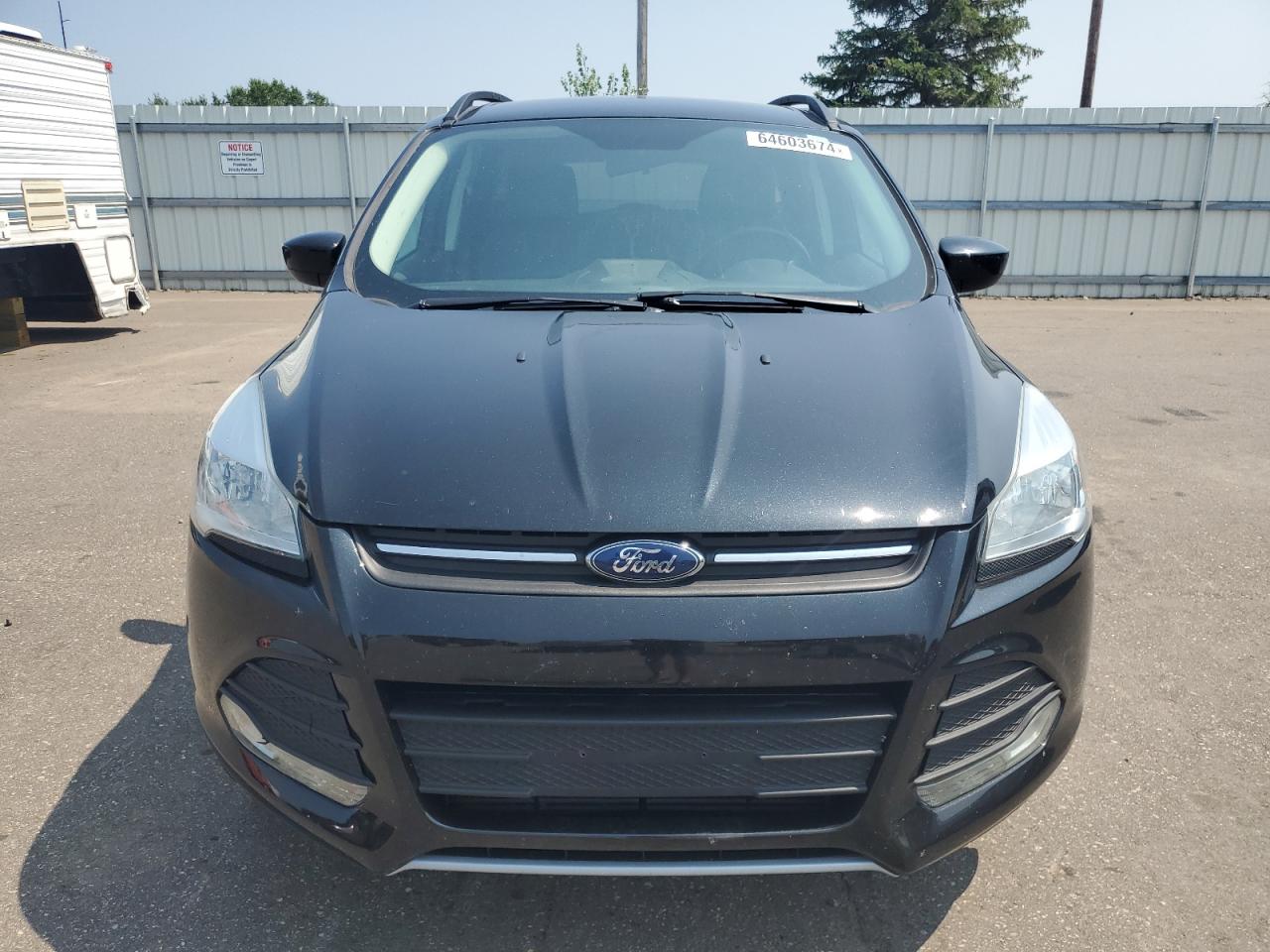 Lot #2909741398 2014 FORD ESCAPE SE