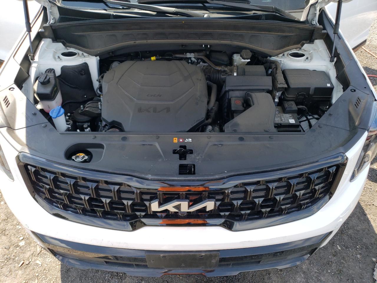 5XYP5DGC5RG460320 2024 Kia Telluride Sx