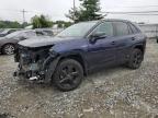 2019 TOYOTA RAV4 XSE - 2T3EWRFV6KW025737