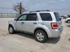 FORD ESCAPE XLT photo