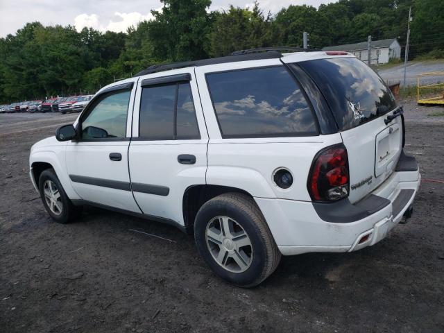 2005 Chevrolet Trailblazer Ls VIN: 1GNDT13S252202059 Lot: 60708824