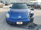 VOLKSWAGEN BEETLE TUR photo