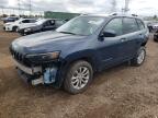 2021 JEEP CHEROKEE L - 1C4PJLCB3MD200329