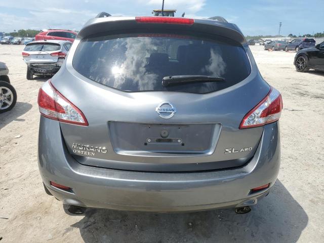 2013 Nissan Murano S VIN: JN8AZ1MW5DW316841 Lot: 61495784