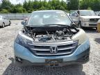 HONDA CR-V EX photo