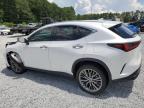 LEXUS NX 350 LUX photo