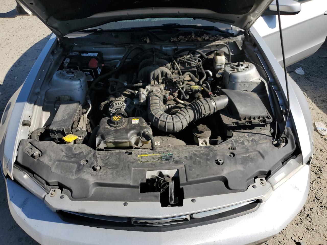 1ZVBP8AN2A5141859 2010 Ford Mustang