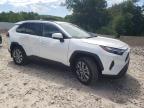 TOYOTA RAV4 XLE P снимка