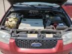 FORD ESCAPE HEV photo