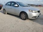 KIA FORTE EX photo