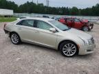 CADILLAC XTS LUXURY photo