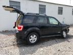 FORD ESCAPE XLT photo