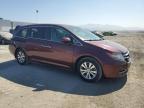 HONDA ODYSSEY EX photo