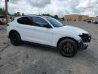 ALFA ROMEO STELVIO photo