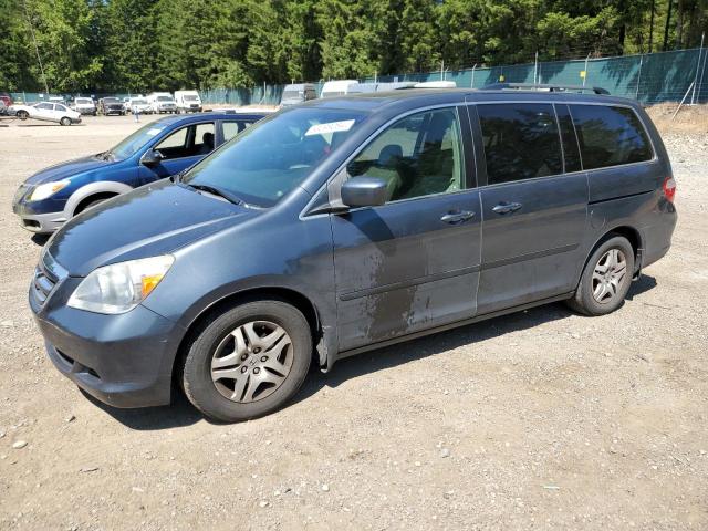 2005 Honda Odyssey Exl VIN: 5FNRL38755B069812 Lot: 63099084