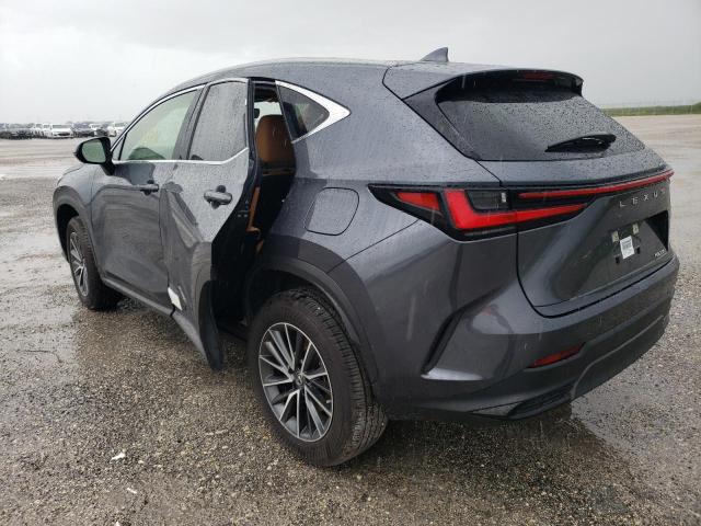 2023 LEXUS NX 250 JTJADCAZ7P5012874