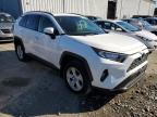 TOYOTA RAV4 XLE photo