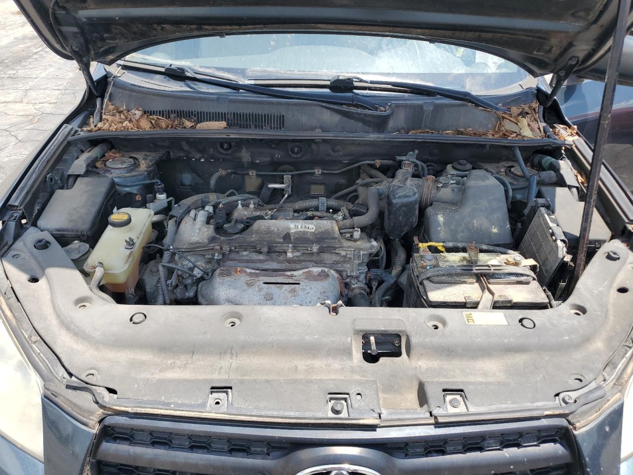 2T3BF4DV6BW088149 2011 Toyota Rav4