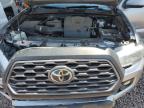 TOYOTA TACOMA DOU photo