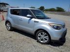 KIA SOUL + photo