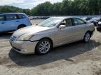 LEXUS ES 350 photo