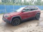 2019 JEEP CHEROKEE T - 1C4PJMBN3KD100827