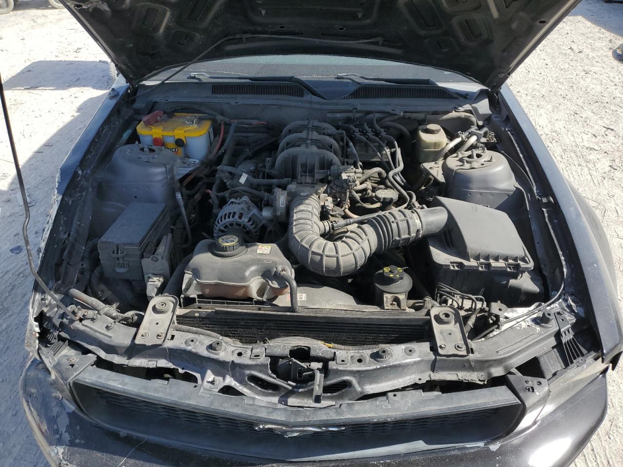 1ZVFT80N165239030 2006 Ford Mustang