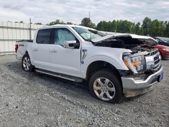2023 FORD F150 SUPER - 1FTFW1E50PKF53118