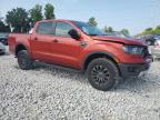 FORD RANGER XL photo