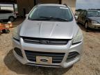 Lot #3024628602 2014 FORD ESCAPE SE