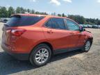 CHEVROLET EQUINOX LS photo