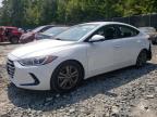 HYUNDAI ELANTRA SE photo