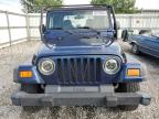 JEEP WRANGLER / photo