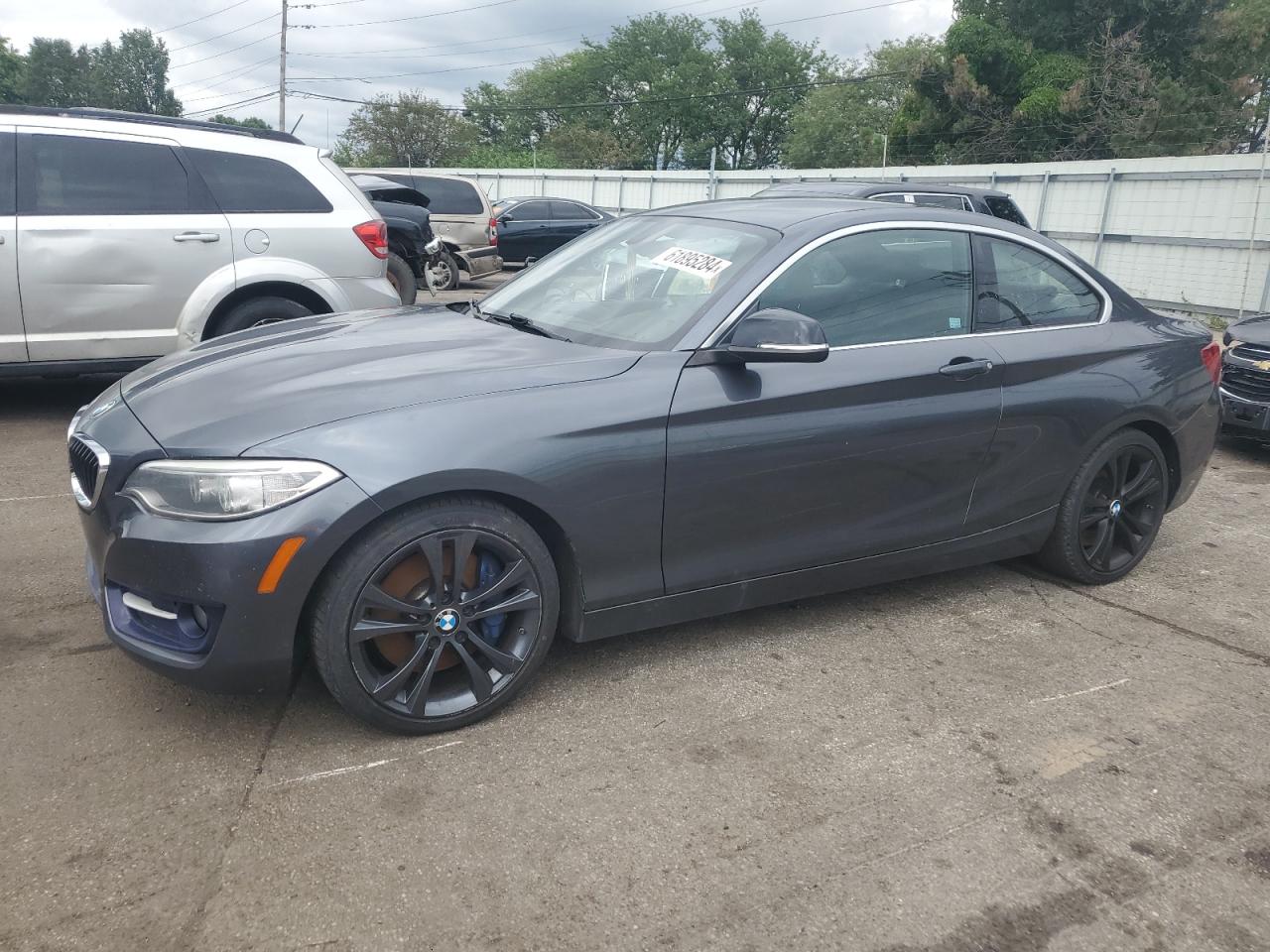 2015 BMW 228 Xi Sulev vin: WBA1G9C51FVX96424