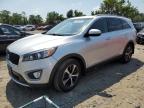 KIA SORENTO EX photo